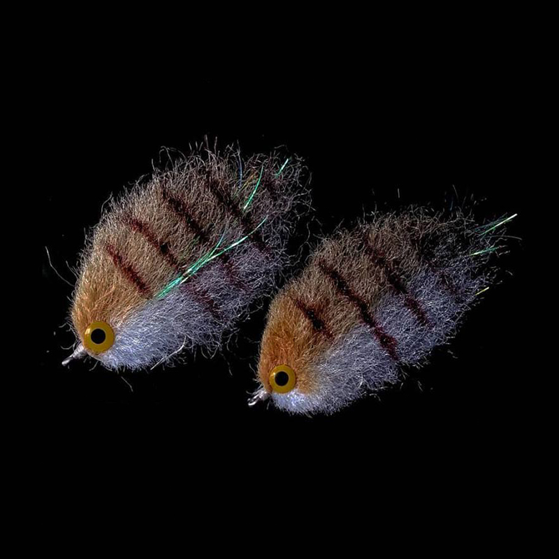 CONTEMPLATOR 2bags/pack Fly Ty - Fishing Equipment For Trout review and price
