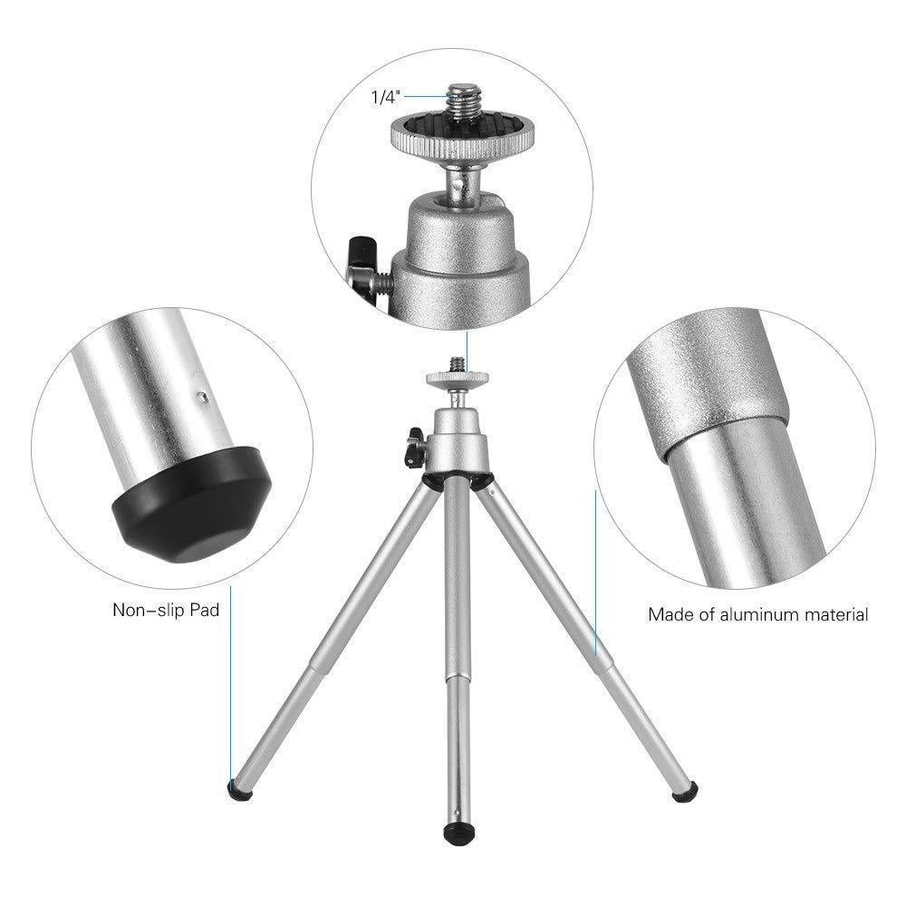 Portable Lantern Stand Outdoor - Fishing Gear review and price