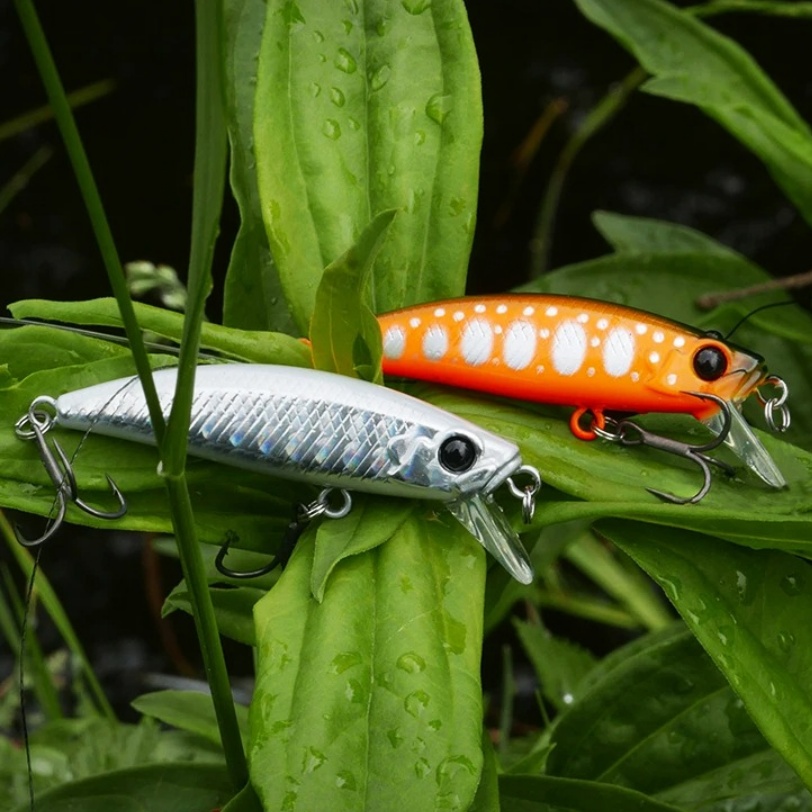 TSURINOYA 10PCS 51mm 5.8g Intr - Fishing Equipment For Trout review and price