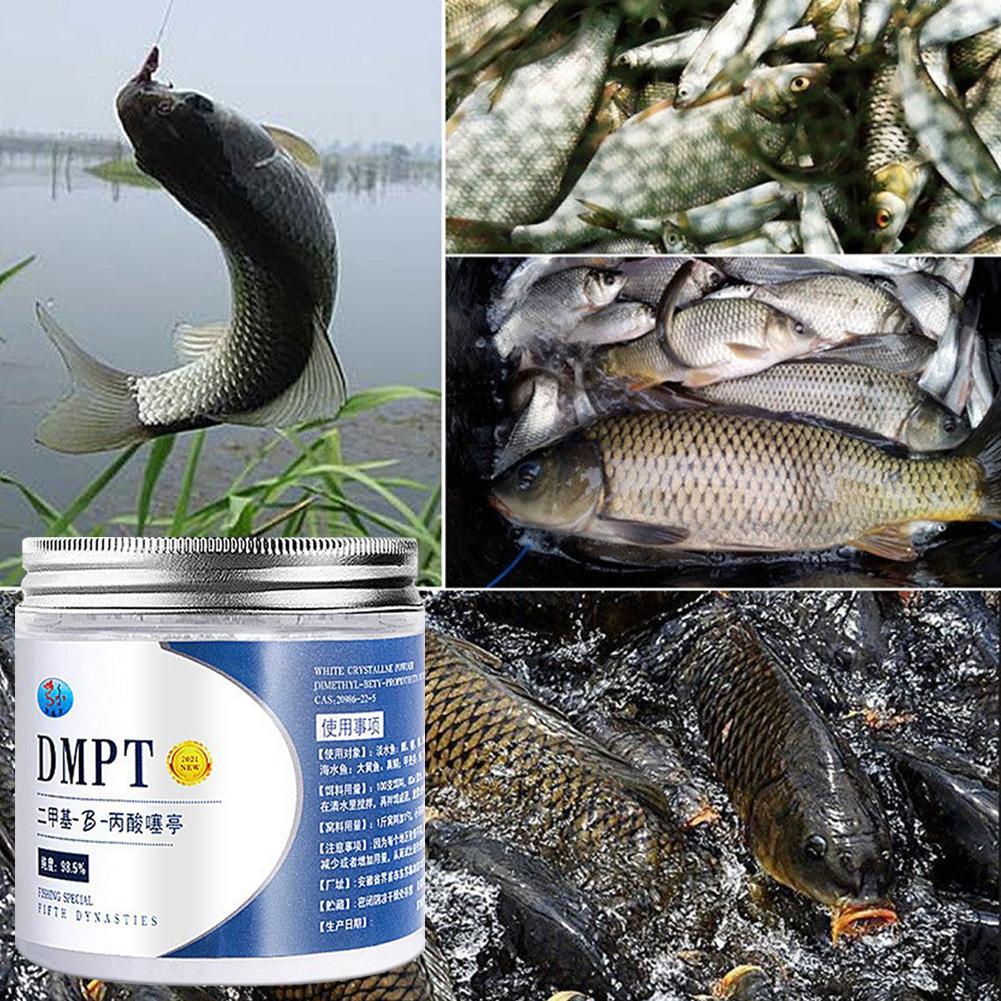 50g Real DMPT High Purity Fish - Fishing Equipment Market review and price
